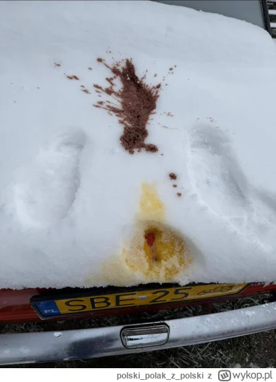 polskipolakz_polski - #polska