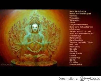 Dreampilot - @freedomseeker