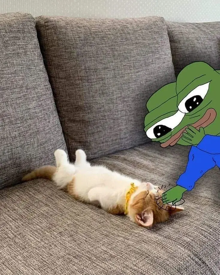 LRF1000W - @sonig: piękny