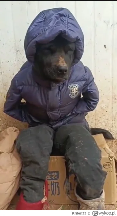 Kriten33 - Pan Flick o------l w szatni zrobi i Sociedad będzie miał pogrzeb w drugiej...