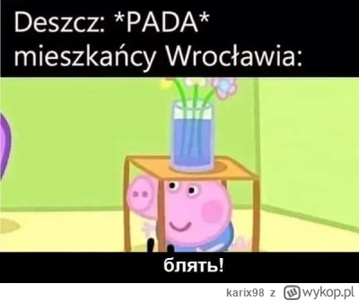 karix98 - Masakra co oni zrobili z tym krajem, Ukropolin a nie Polska, oddałbym wszys...