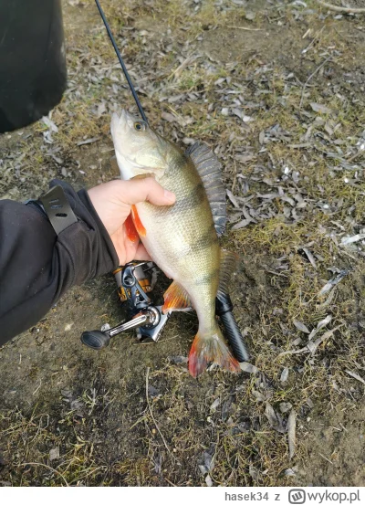 hasek34 - #wedkarstwo pobral x2