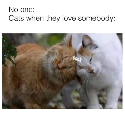 wybryk_natury - #zlodziejskiewybryki