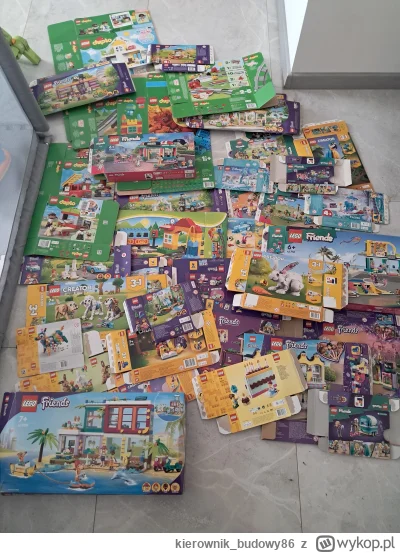 kierownik_budowy86 - Witam.

Czy taka kolekcja kartonów po lego ma jakąś wartość próc...