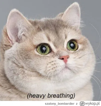 szalonybombardier - @Majku: moja ulubiona postać zaraz po Arthasie. I jedna z bardzie...