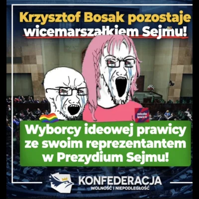 patryk-milanoyt - #polityka #bekazlewactwa #4konserwy #neuropa #heheszki
Trolle i lew...