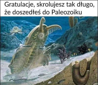 IllIllllIllniepomszczon_napletekIlI