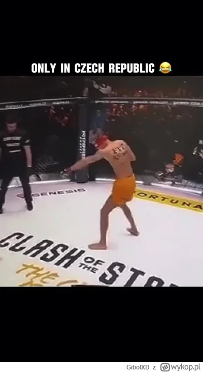 GibolXD - #famemma Tylko taka walka może uratować freakfighty ( ͡° ͜ʖ ͡°)