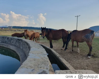 QHiN - @sokool Na wiosce gdzie zaczyna się szlak również dość ładne. Z ciekawostek to...