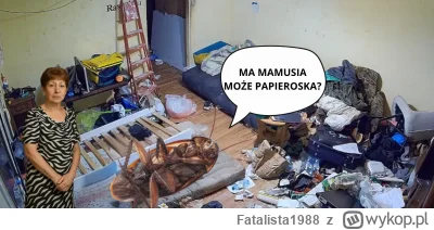 Fatalista1988 - #danielmagical #patostreamy #raszei