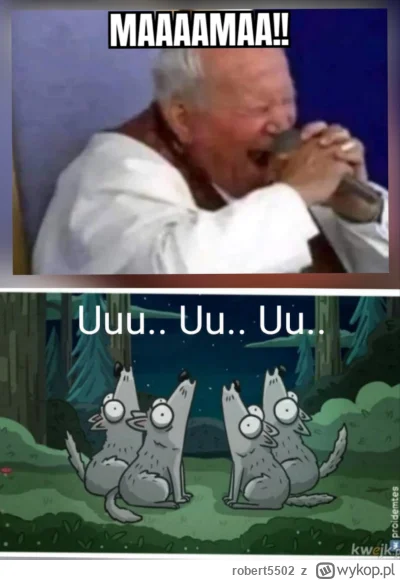 robert5502 - #wykopobrazapapieza #heheszki #humorobrazkowy
