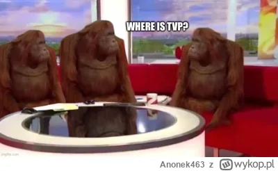 Anonek463 - #tvp #heheszki #zamachstanu #stanwojenny