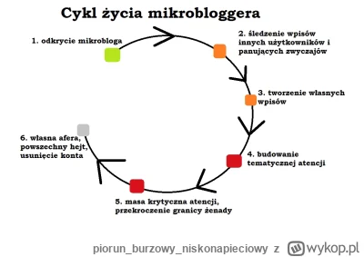 piorunburzowyniskonapieciowy - @Blondynka34