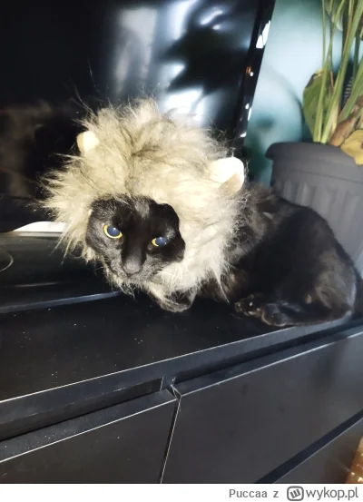 Puccaa - @maria_kiribati