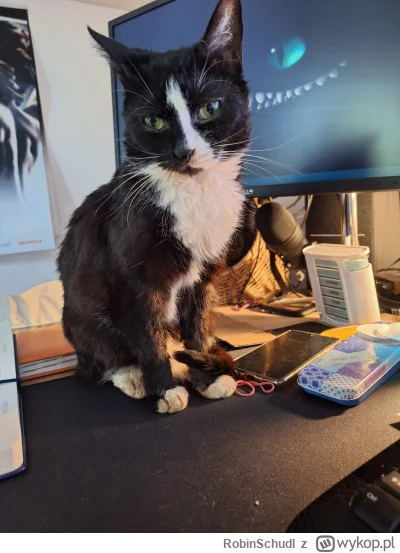 RobinSchudl - @drobnenataryfe: no siema!