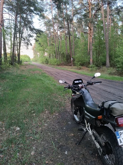 smoczykutaz7 - Chłop sobie zrobił 100 kilometrów po lasach i zadupiach w ramach objaz...