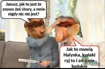 wfyokyga - Humor