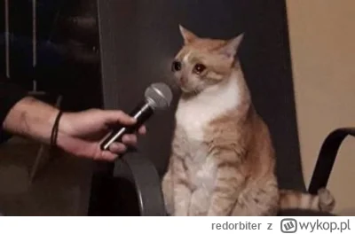 redorbiter - -i duzo pan z tych memow potrafi wyciagnac?
-a to zalezy od dnia ale tak...