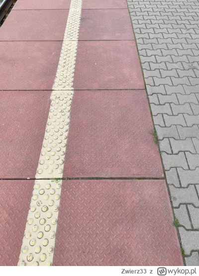 Zwierz33 - Chłop do miasta jedzie do szpitala znowu pociągiem xd chłop już zmęczony a...