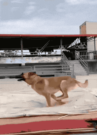 wfyokyga - Dzieci nie są nawet bezpieczne na 2 piętrze xd