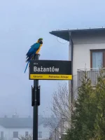 litosciwy - Patrzcie jaka akcja w #katowice
#smiesznypiesek #pokazptaka #heheszki