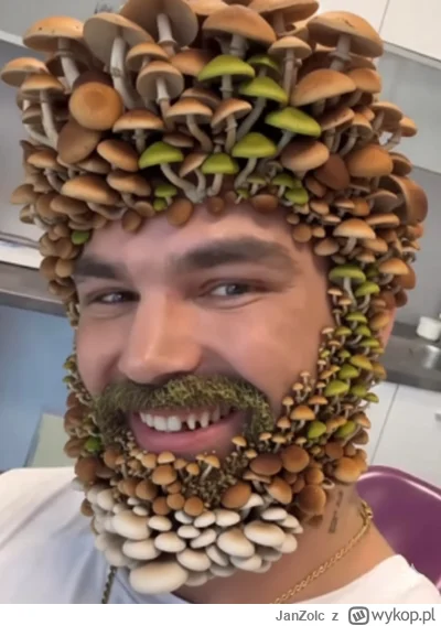 JanZolc - @wataf666: