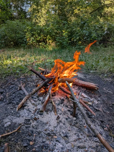 Jurajski_Wedrowiec - Kiełbaska 8/10.