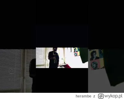 herambe - Będę udawał psychoterapeutę i jak przyjdziesz ze swoją drugą połówką to prz...