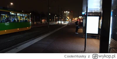 CoolerHusky - #poznan wieczór