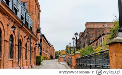 kryzysWbabilonie - #lodz #l-------a #fotografia 

Miasto meneli, miasto bawełny, mias...