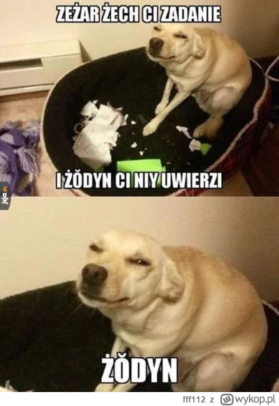 fff112 - @bibi__: o kurła to żodyn