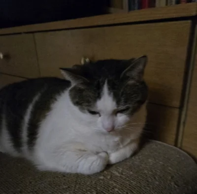 Solsith - @vateras131: strzeliła focha¯\(ツ)/¯a pasztet był jedzony