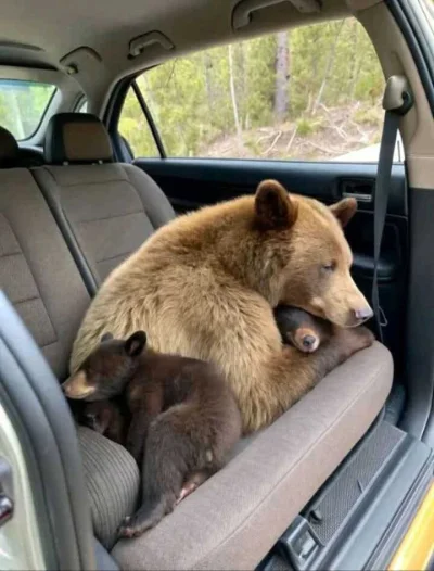 skrogg - Okeeeej, na mnie już pora. Dobranoc.