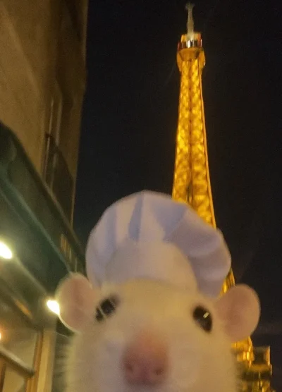 PetalMind - He.he.hej…chcesz zobaczyć moje kotki w piwnicy? Tzn nie ma ani piwnicy an...