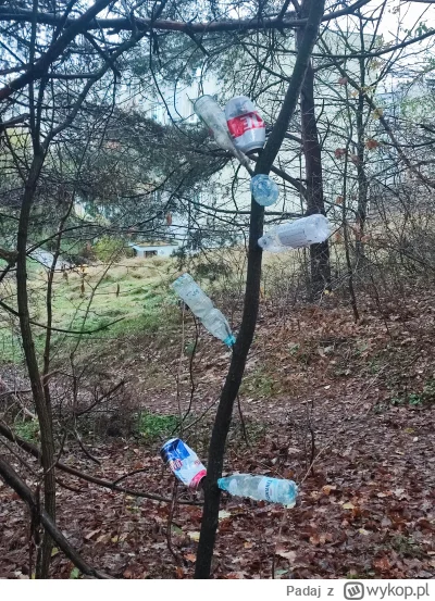 Padaj - Butelkowe drzewo: Polska
#seriale #from #stamtad