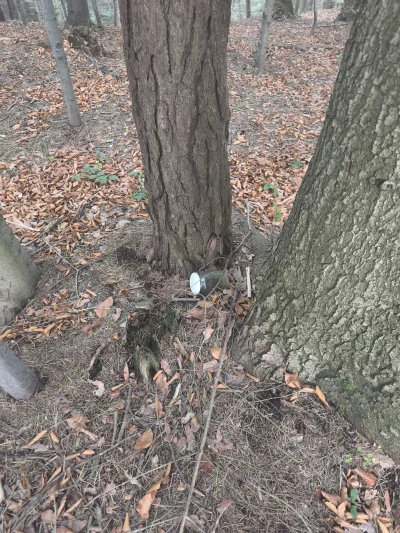 bolson-boleslawowski - Nie kuś ( ͡° ͜ʖ ͡°) #humorobrazkowy #czarnyhumor