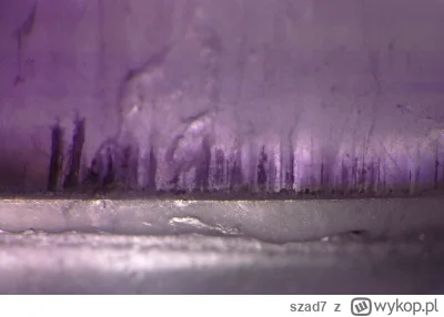 szad7 - @Lenalee: Wy nad morzem?! Kiedy pojechaliście?! #pdk