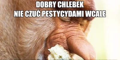 Dziki_Odyniec