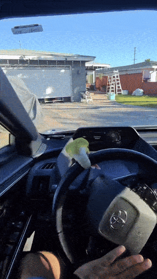 wfyokyga - Kręcenie papugiem