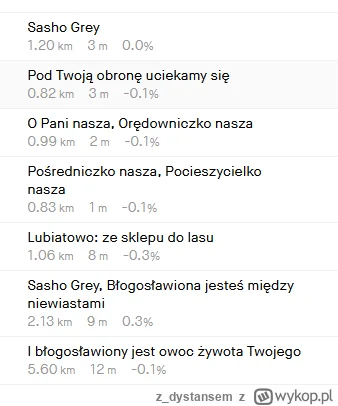 z_dystansem - Kogoś poniosło z nazwami segmentów ;)