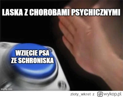 zloty_wkret - Choć psy nie rozwijają chorób psychicznych w takim sensie, jak ludzie (...