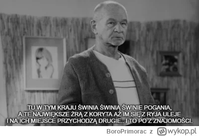 BoroPrimorac - #tvpis #sejm