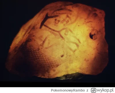 PokemonowyRambo - Mamy z córką (4 lata) taką zajawkę, że szukamy krzemieni. Dzisiaj z...