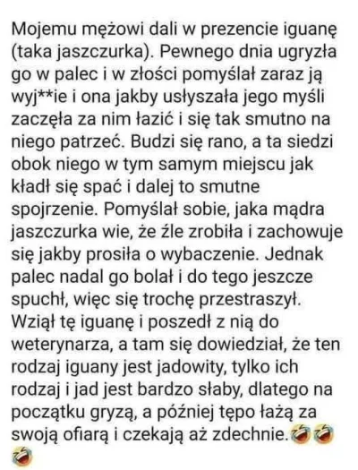 paczelok - #zonabijealewolnobiega