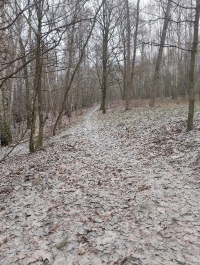 DziecizChoroszczy - @DziecizChoroszczy