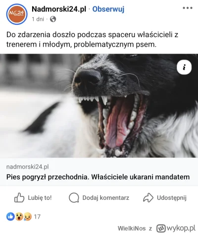 WielkiNos - Tak się kończy ratowanie agresywnych psów przez psiarskie histeryczki, kt...