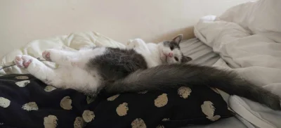 luciditygone - @ItsyBitsyPajonk