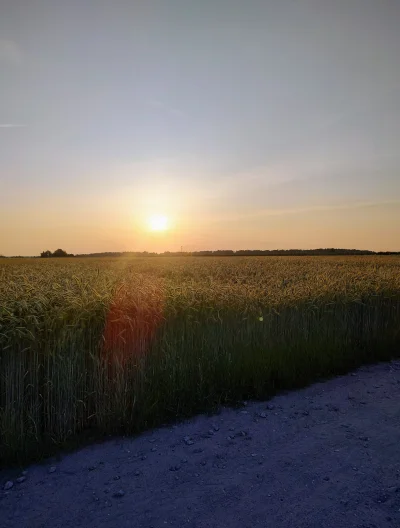 StulejmanWielki - 396 305 + 35 = 396 340

W końcu znalazłem trochę czasu na ogarnięci...