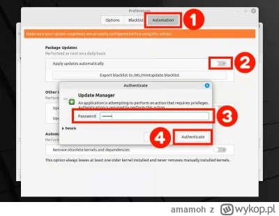 amamoh - >Mógłbyś napisać coś więcej o automatycznych aktualizacjach tzn jak je uakty...