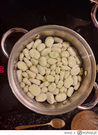 dran2 - Już jest bób.

#bob #warszawa #gotujzwykopem